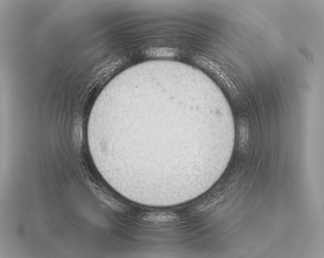 X0000115310541200912141139