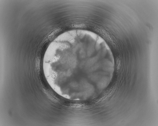 X0000115310542200912141139