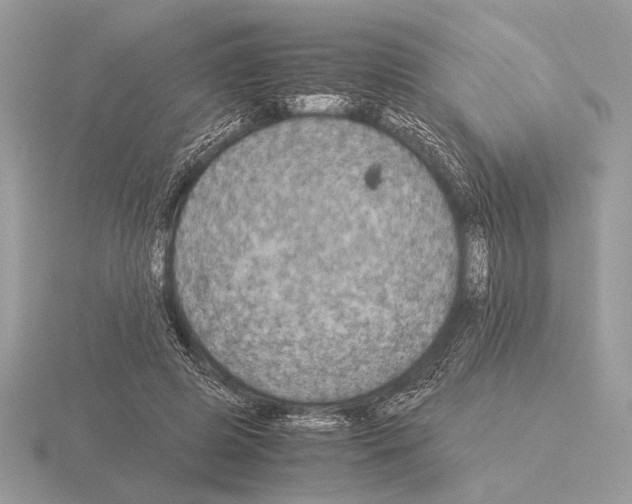 X0000115310545200912141139