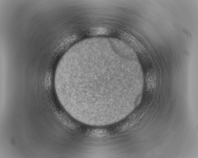 X0000115310546200912141139