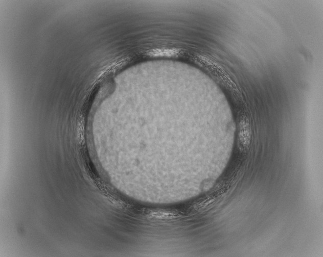 X0000115310547200912141139