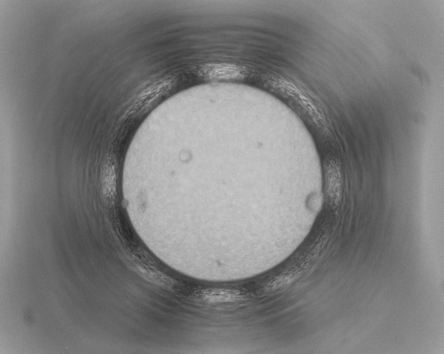 X0000115310549200912141139