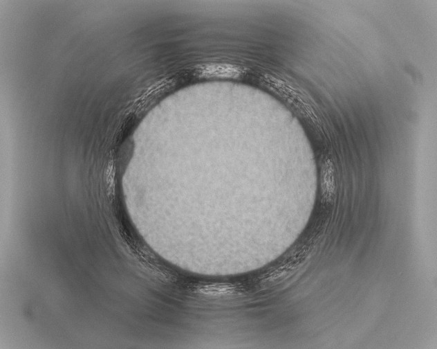 X0000115310551200912141139