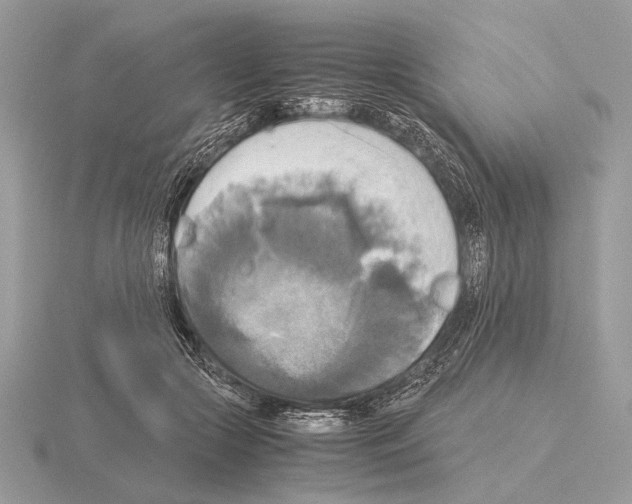 X0000115310553200912141139