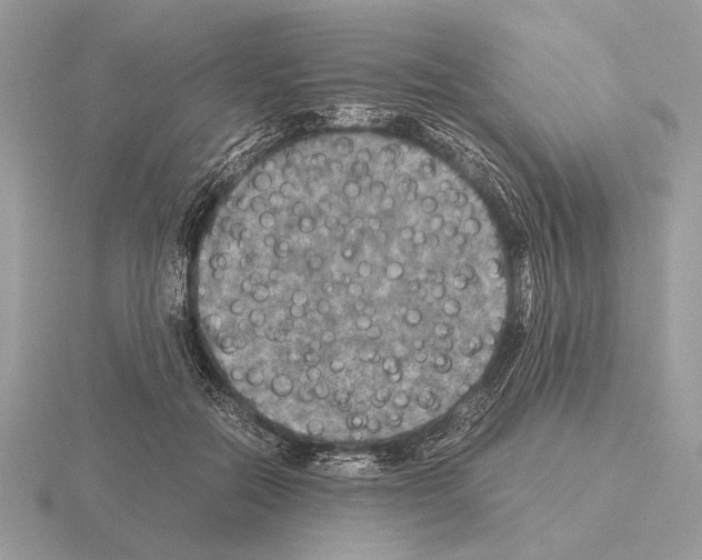 X0000115310554200912141139