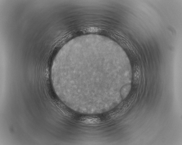 X0000115310555200912141139