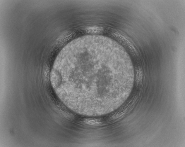 X0000115310557200912141139