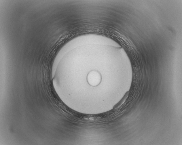 X0000115310558200912141139