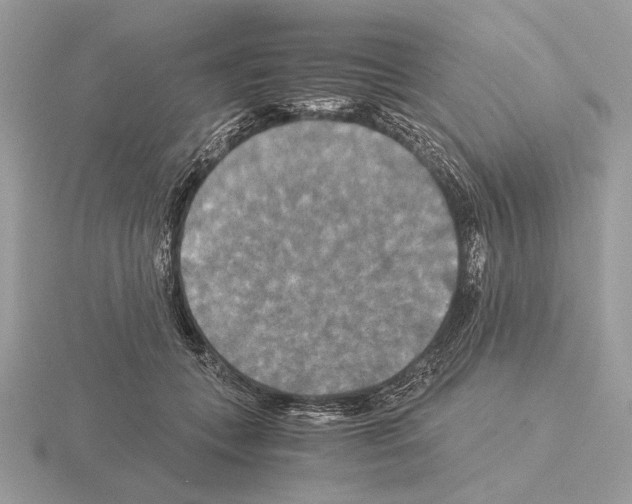 X0000115310559200912141139