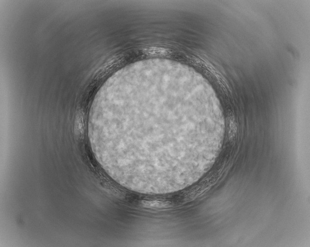 X0000115310561200912141139