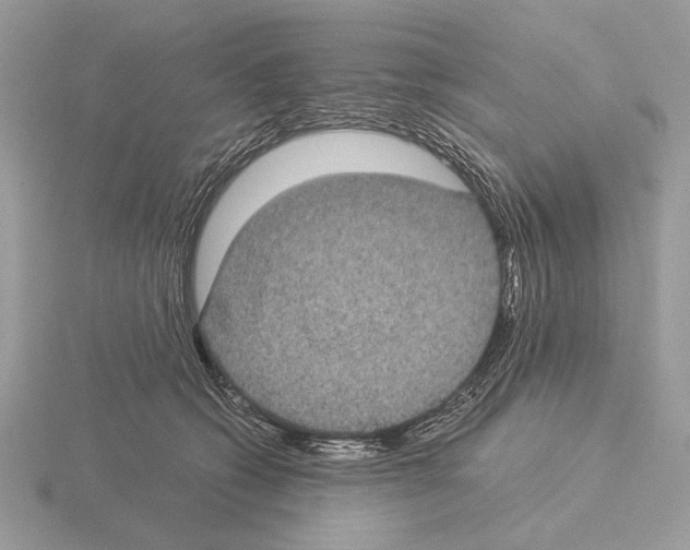 X0000115310562200912141139