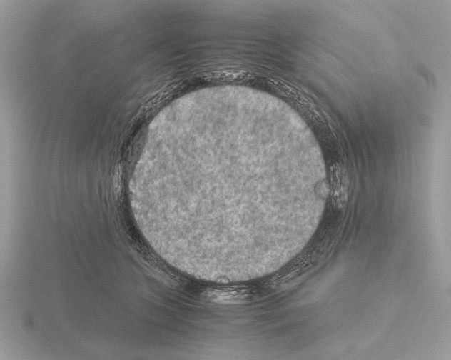 X0000115310563200912141139