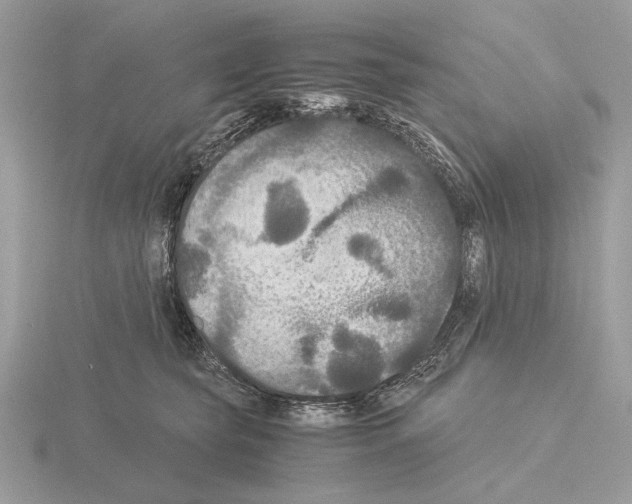 X0000115310565200912141139