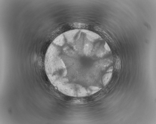 X0000115310569200912141139