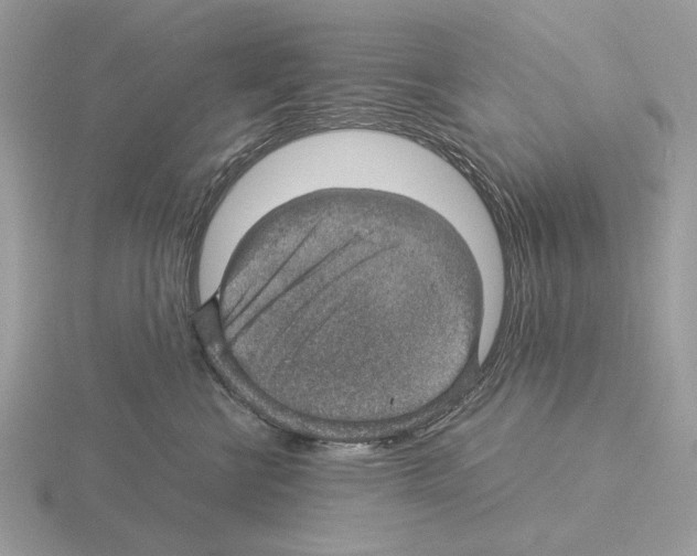 X0000115310570200912141139