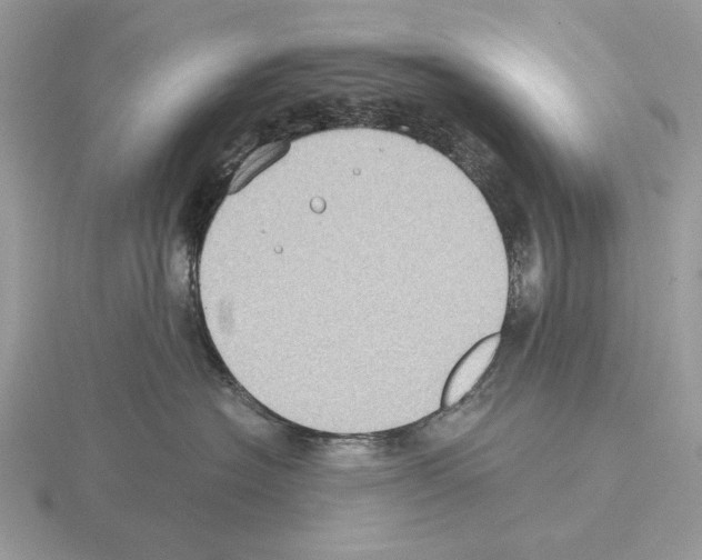 X0000115310574200912141139