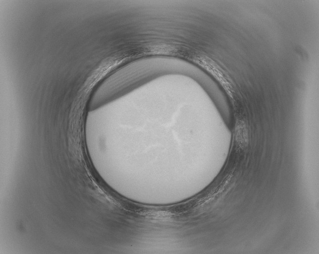 X0000115310577200912141139