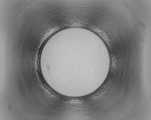 X0000115310578200912141139