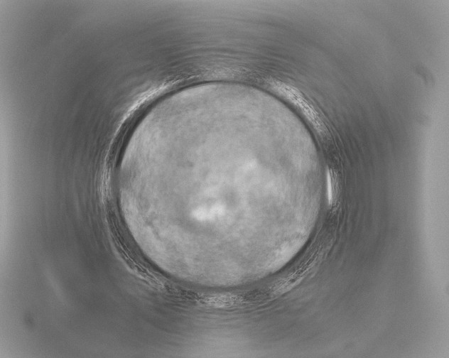 X0000115310579200912141139