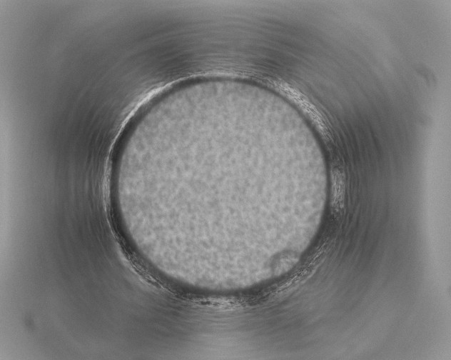 X0000115310580200912141139