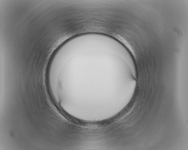 X0000115310581200912141139