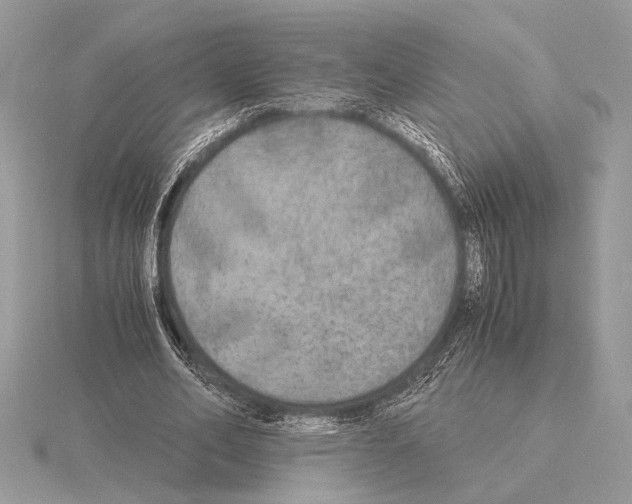 X0000115310582200912141139