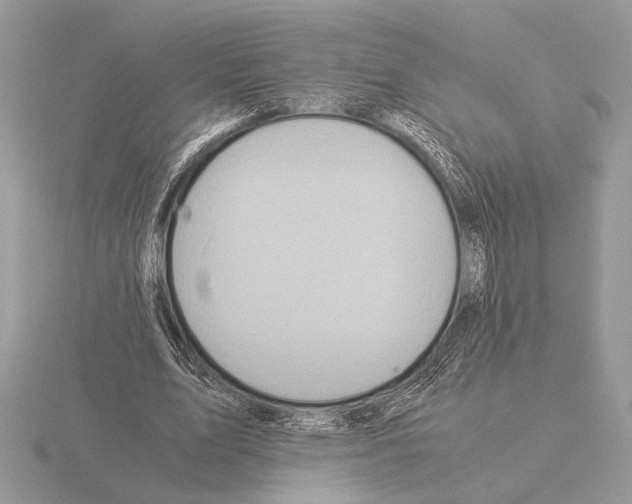 X0000115310583200912141139