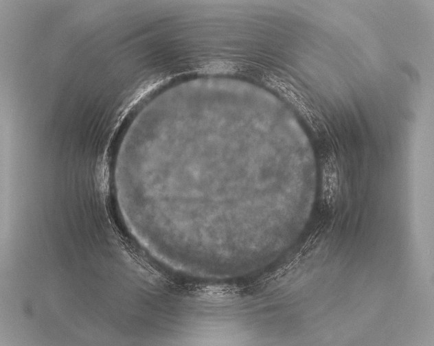 X0000115310584200912141139