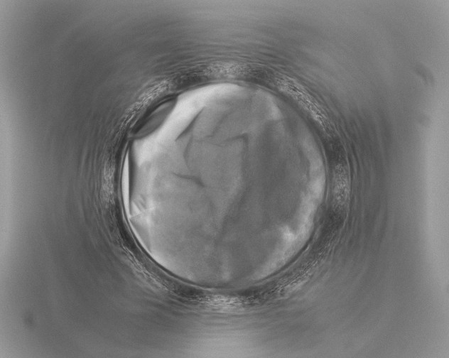 X0000115310585200912141139