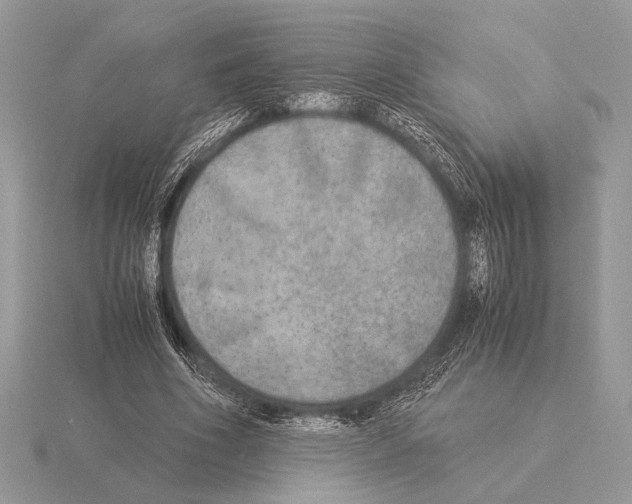 X0000115310586200912141139