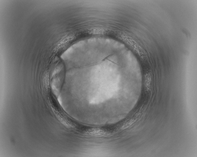 X0000115310589200912141139