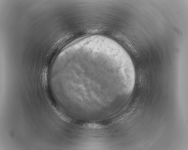 X0000115310590200912141139