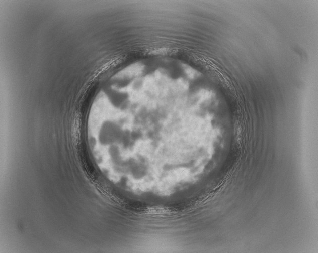 X0000115310591200912141139