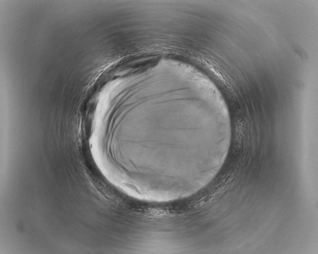 X0000115310592200912141139