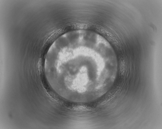 X0000115310594200912141138