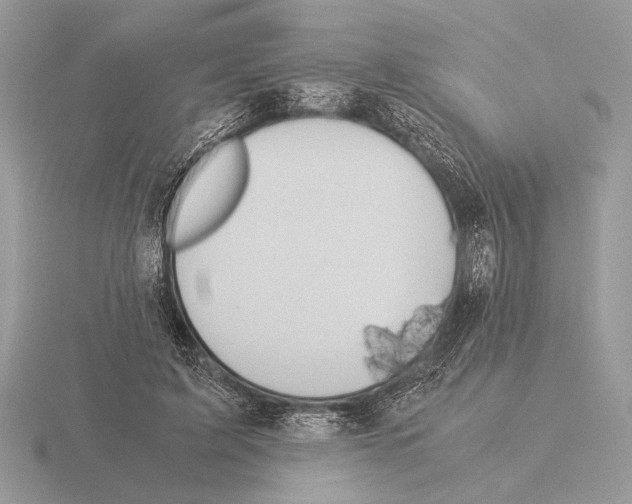 X0000115310595200912141138