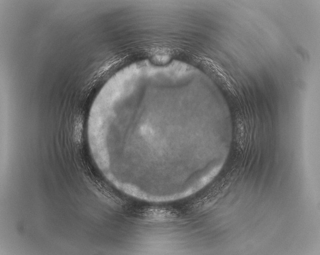 X0000115310596200912141138