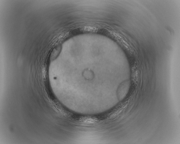 X0000115310597200912141138