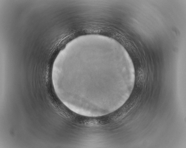 X0000115310600200912141138