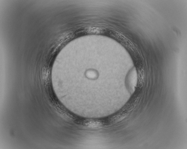 X0000115310601200912141138