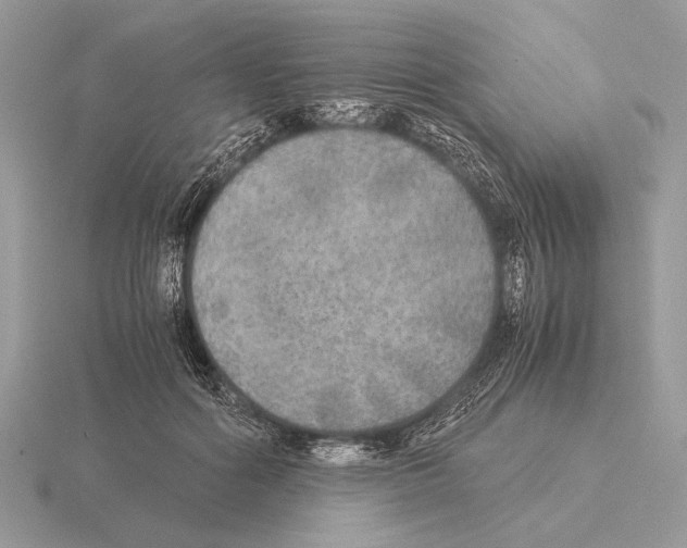 X0000115310602200912141138