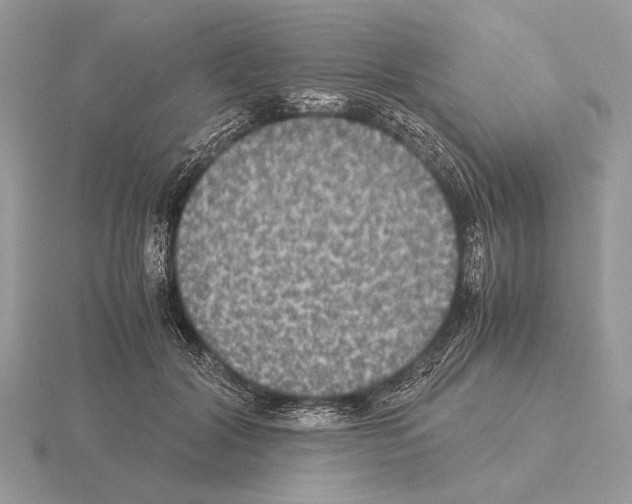 X0000115310604200912141138