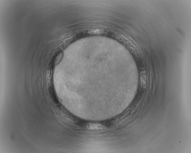 X0000115310605200912141138