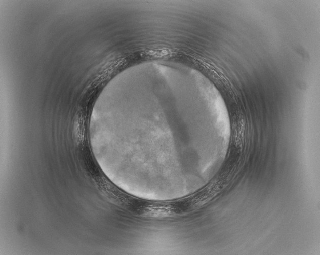 X0000115310606200912141138