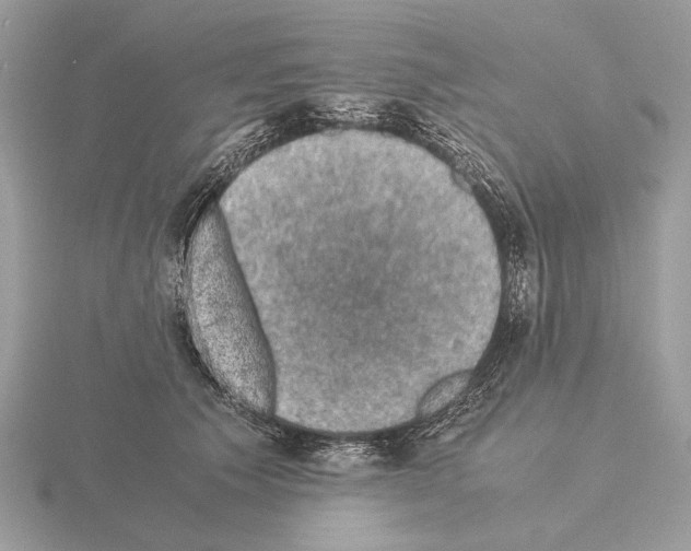 X0000115310609200912141138