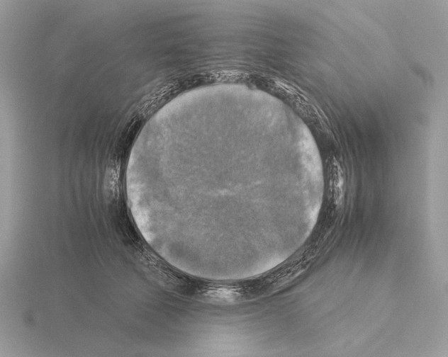 X0000115310610200912141138