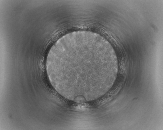 X0000115310612200912141138