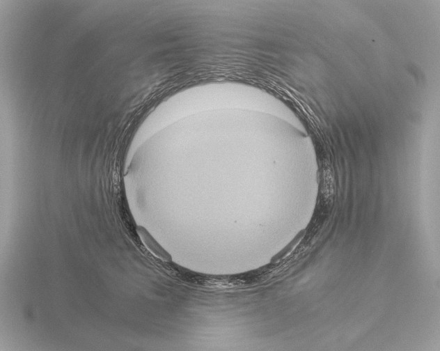 X0000115310613200912141138