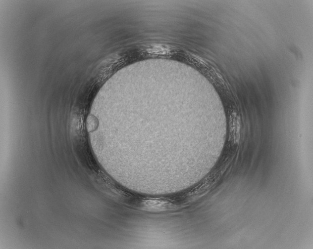 X0000115310614200912141138