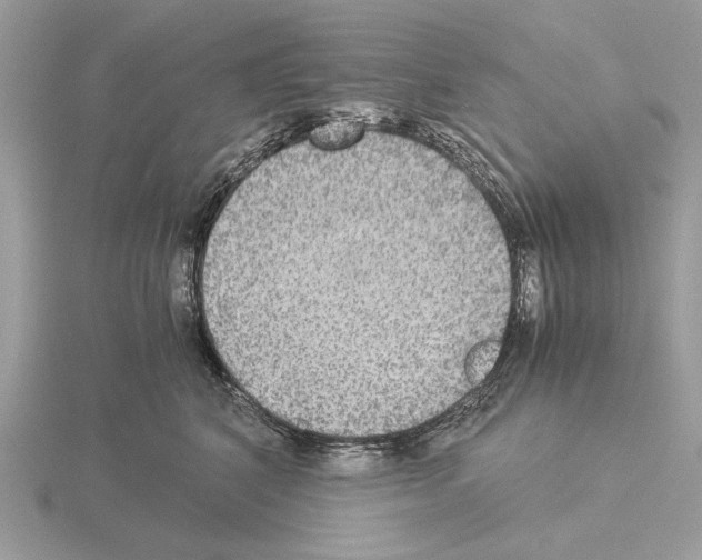 X0000115310616200912141138